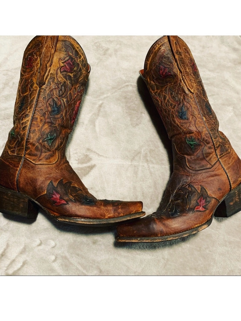 Brown Leather Dan Post Cowboy Boots with Colorful Leaf Inlays